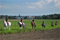 Reitweg